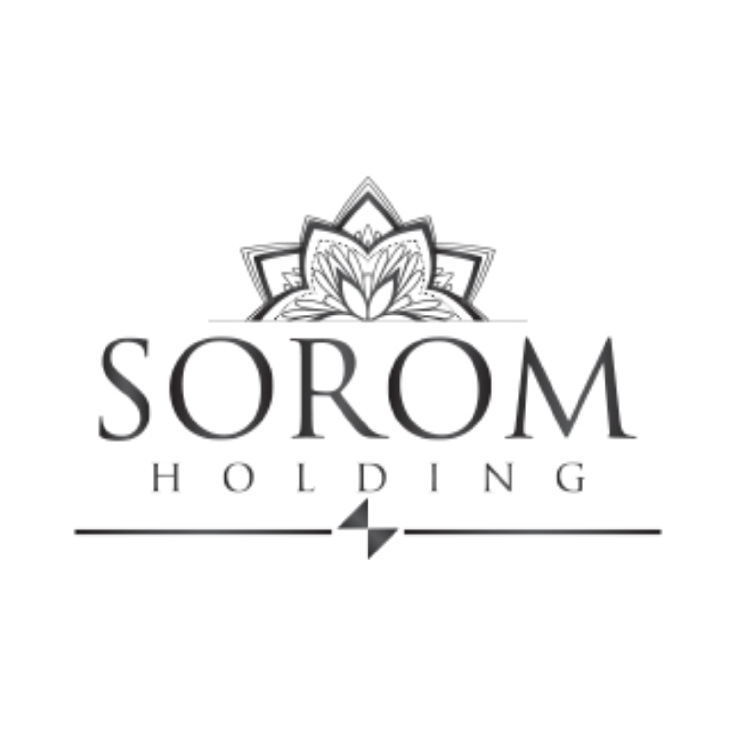 sorom-holding